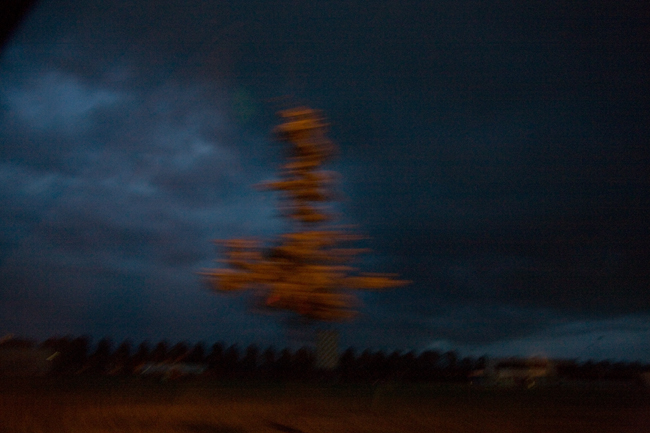 Fable of a Silver Moon